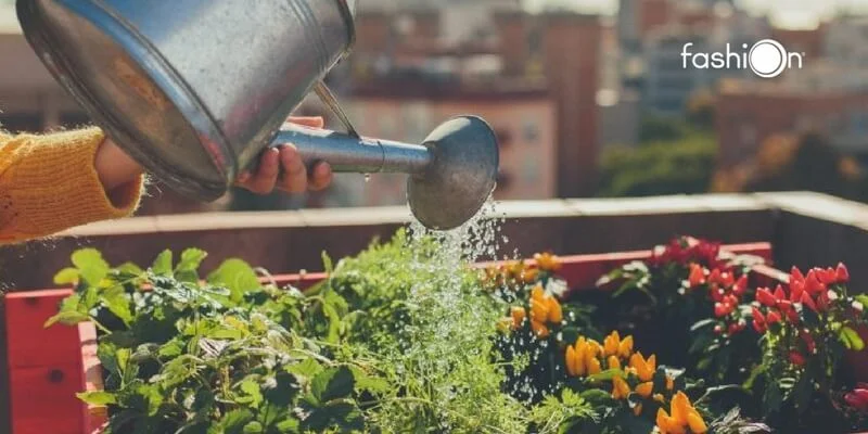 Cultivo urbano de frutas y verduras en invierno